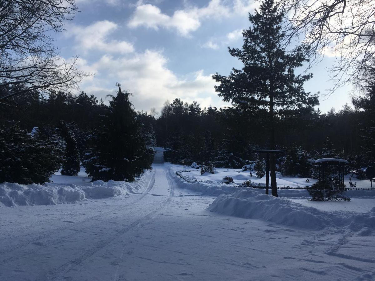 Lesna Rezydencja Ocypel Esterno foto